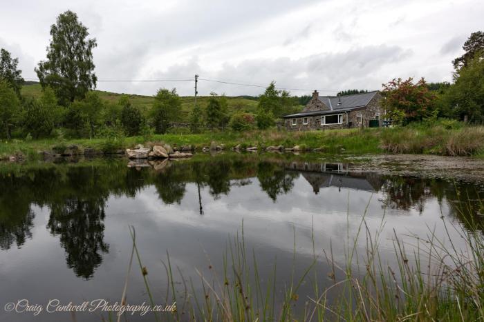 dalnoid cottages and treehouses