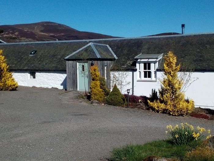 dalnoid cottages and treehouses