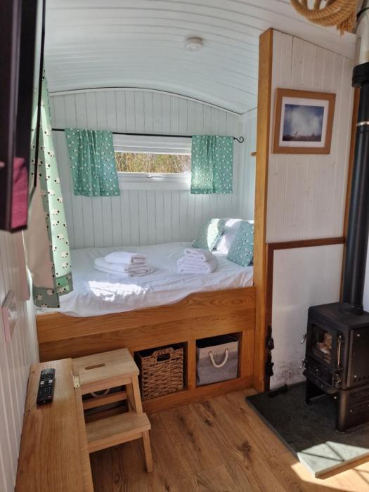 dalnoid cottages and treehouses