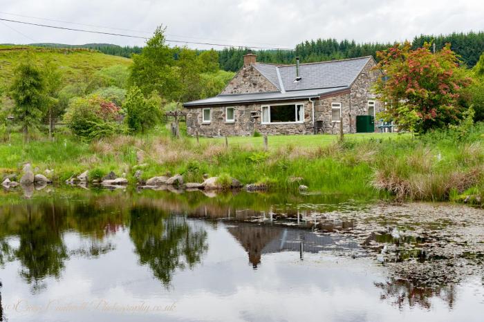 dalnoid cottages and treehouses