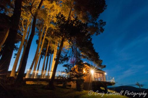dalnoid cottages and treehouses