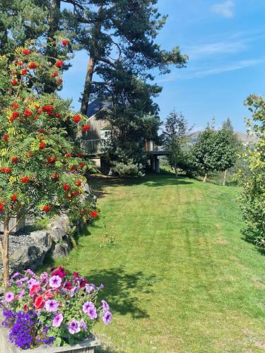 Dalnoid Cottages & Treehouses,,4 star