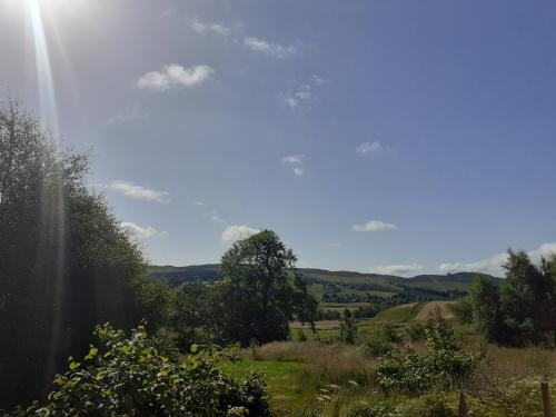 dalnoid cottages and treehouses