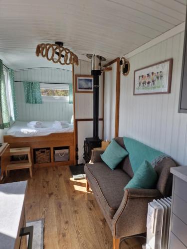 dalnoid cottages and treehouses