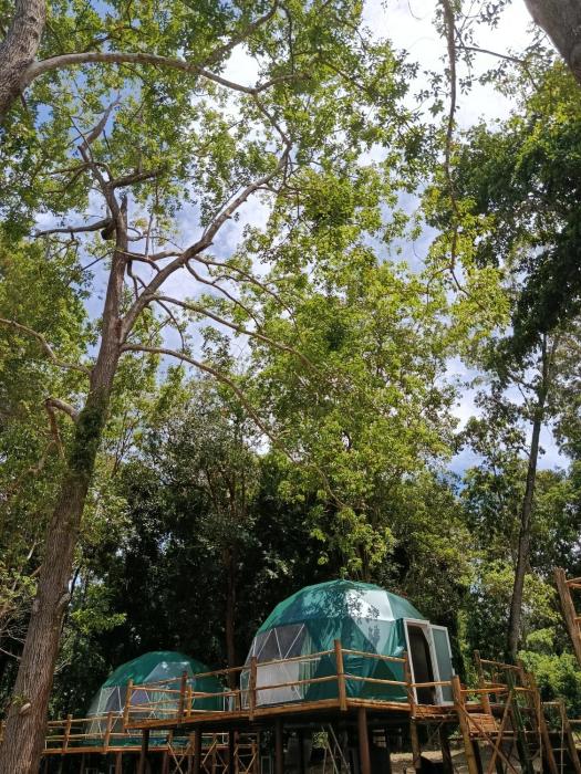 krabi campsite glamping and camping