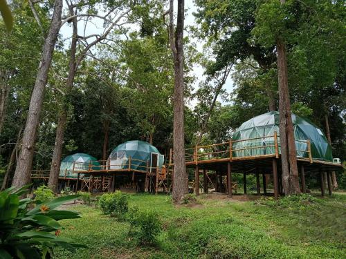 krabi campsite glamping and camping