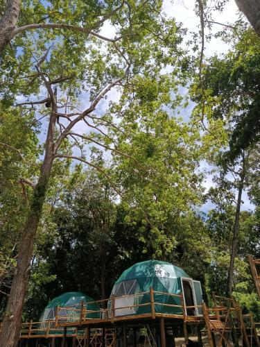 krabi campsite glamping and camping