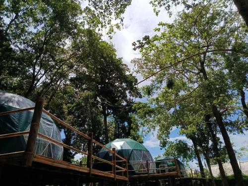 krabi campsite glamping and camping