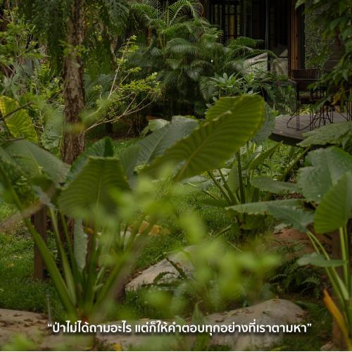 sanctuary kanchanaburi
