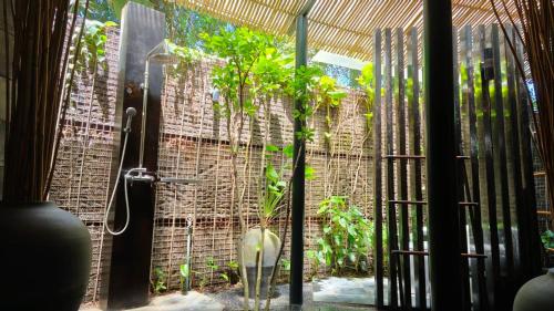 sanctuary kanchanaburi