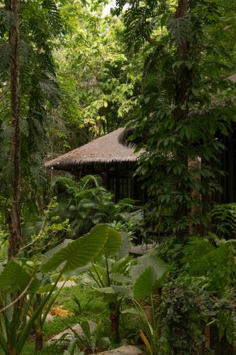 sanctuary kanchanaburi