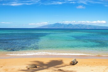 lahaina