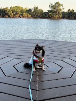 House Of Moon Phase,,3 star