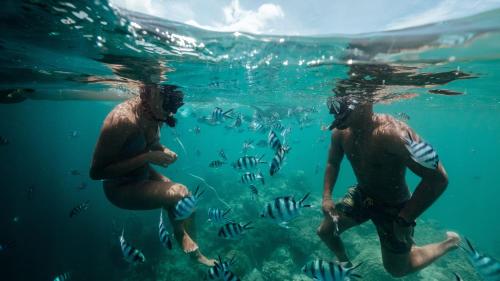 intercontinental fiji golf resort and spa by ihg