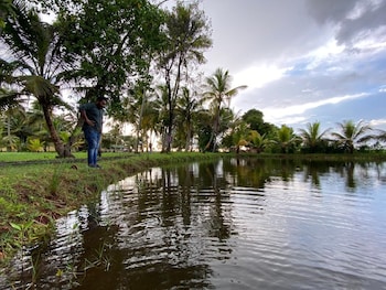 lake vechoor villas by brdge hospitality
