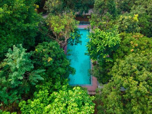 the orchid rishivan rishikesh