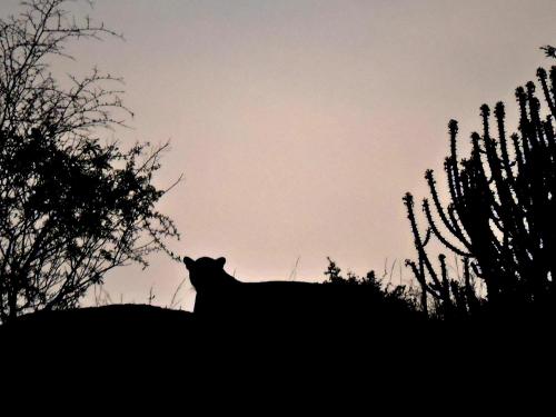 Rawla Bisalpur,,3 star