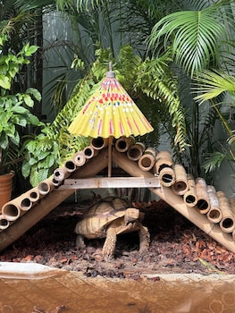 Capybara Zen Resort And Spa,,3 star