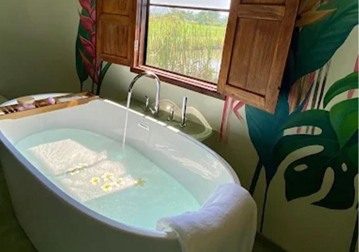 capybara zen resort and spa