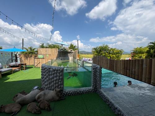 capybara zen resort and spa