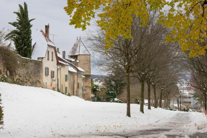 hine adon avenches