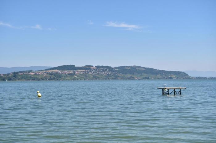 hine adon avenches
