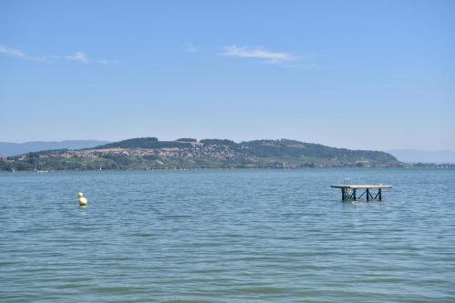 hine adon avenches