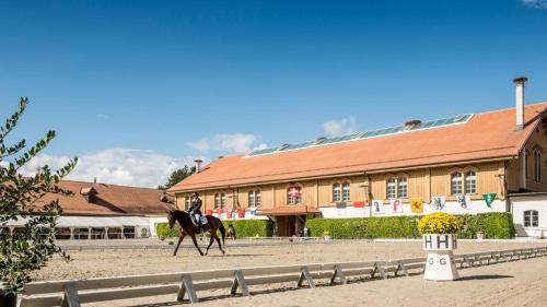 hine adon avenches