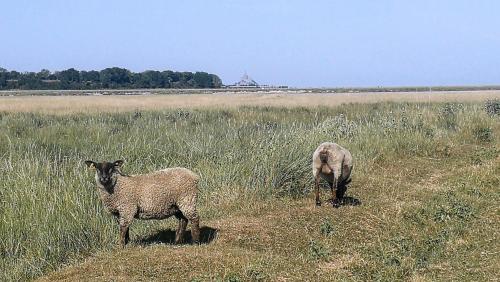 les escales de marion