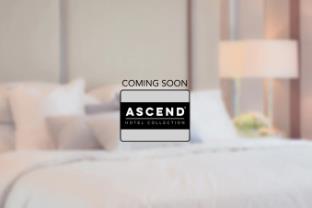 seabreeze hotel an ascend collection hotel