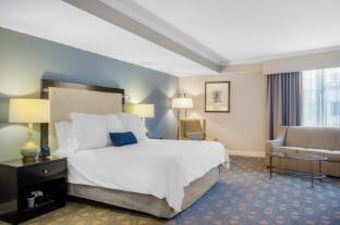 the riverfront hotel new orleans