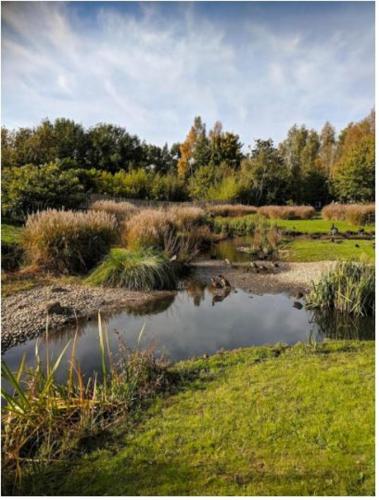 perfect london old brompton apartment