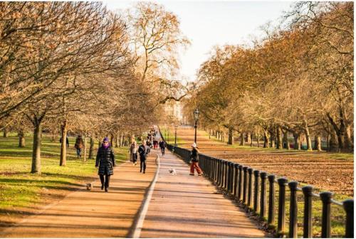 perfect london old brompton apartment