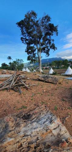 casa camp