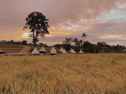 casa camp