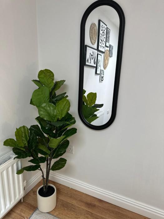 ocho homes lux by eight continents belfast