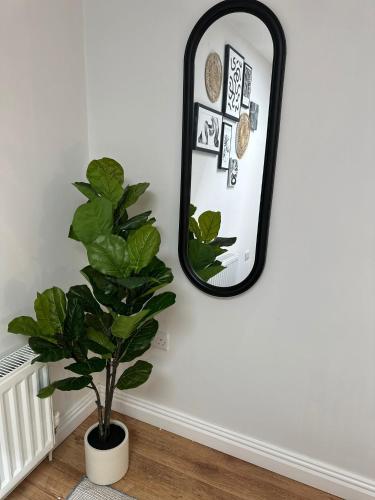 ocho homes lux by eight continents belfast