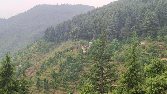 navira hills cottages kanatal