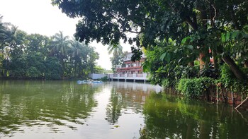 green county wellness retreat