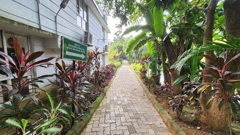 green county wellness retreat