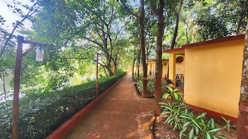 green county wellness retreat