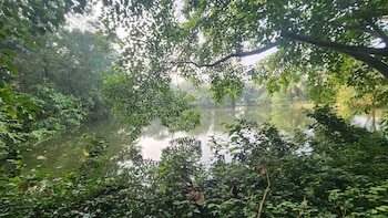 green county wellness retreat