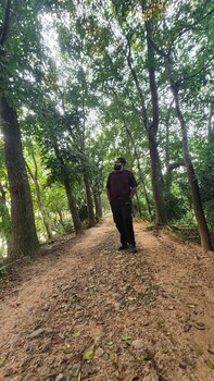 green county wellness retreat