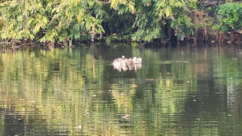 green county wellness retreat