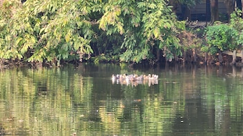 green county wellness retreat