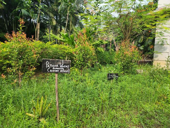 green county wellness retreat