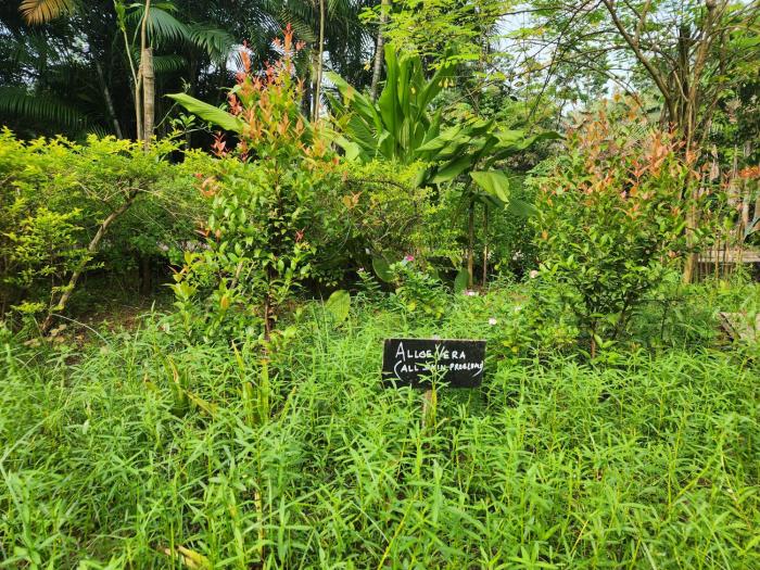 green county wellness retreat