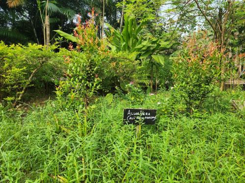 green county wellness retreat