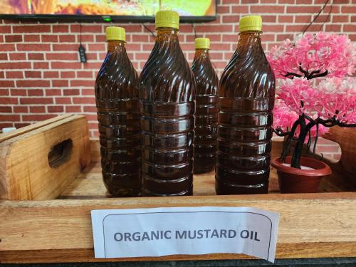 green county wellness retreat