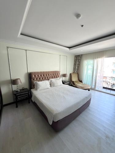 ct suite